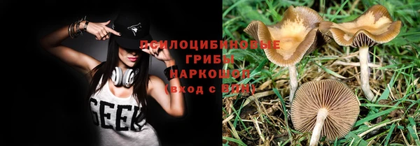 скорость Новокубанск