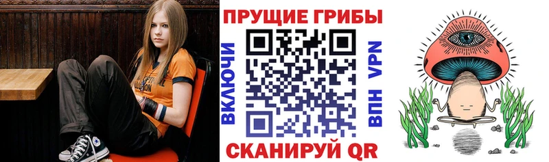 Галлюциногенные грибы Cubensis  Павловский Посад 