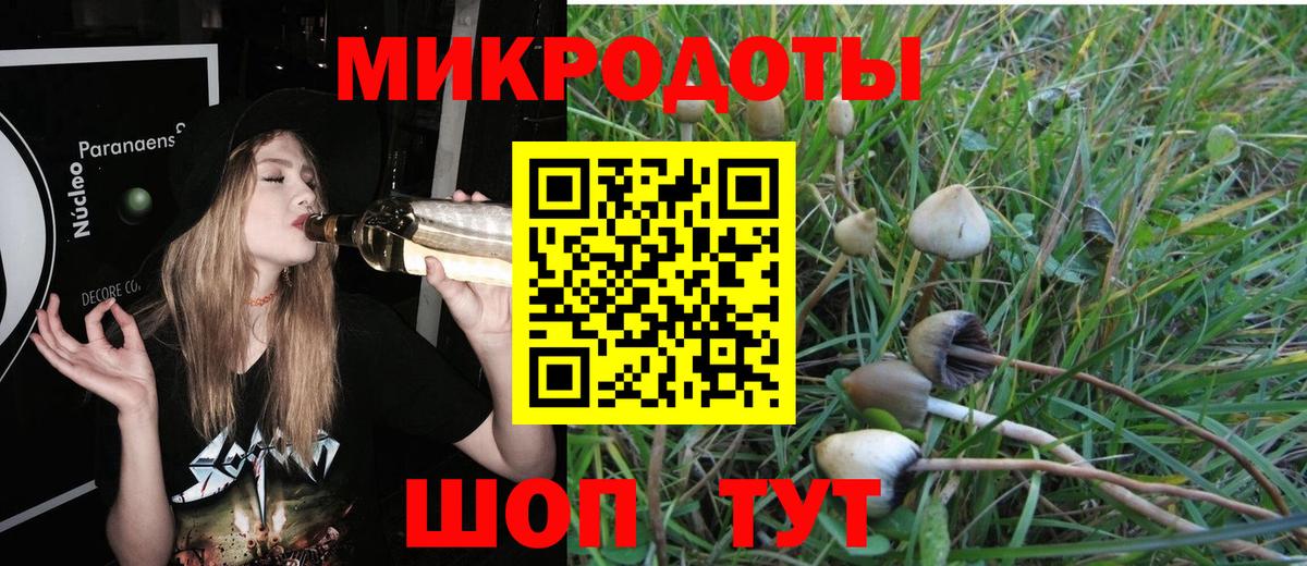 Галлюциногенные грибы Cubensis Павловский Посад