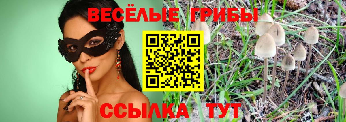 Павловский Посад  Псилоцибиновые грибы мухоморы  Вход с VPN 